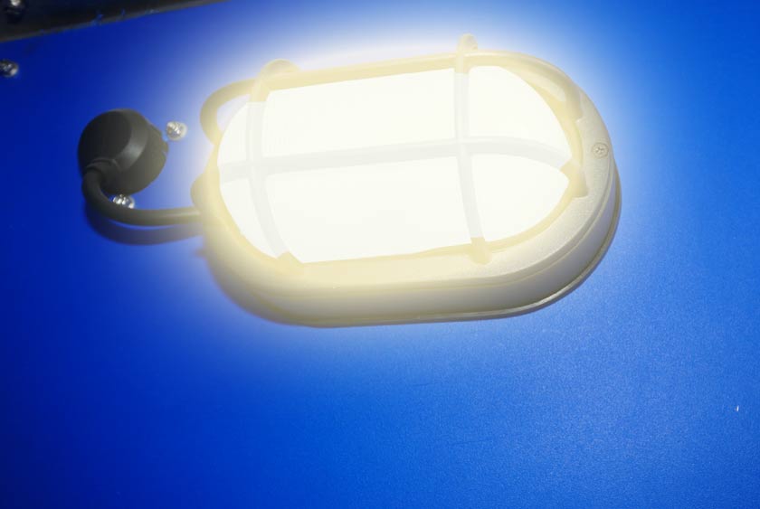 6.2-WATT 500K LED BULKHEAD LIGHT