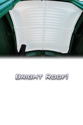 Bright Natural Light Through Roof!