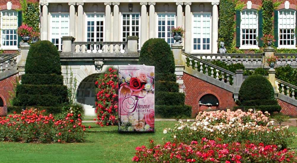 Special Events Portable Toilet