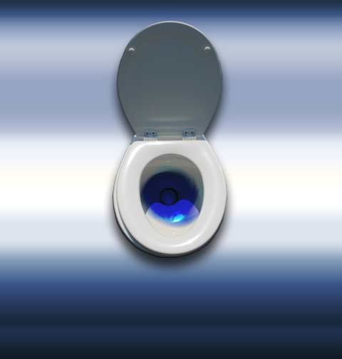 Full Flush, Just Like Home!