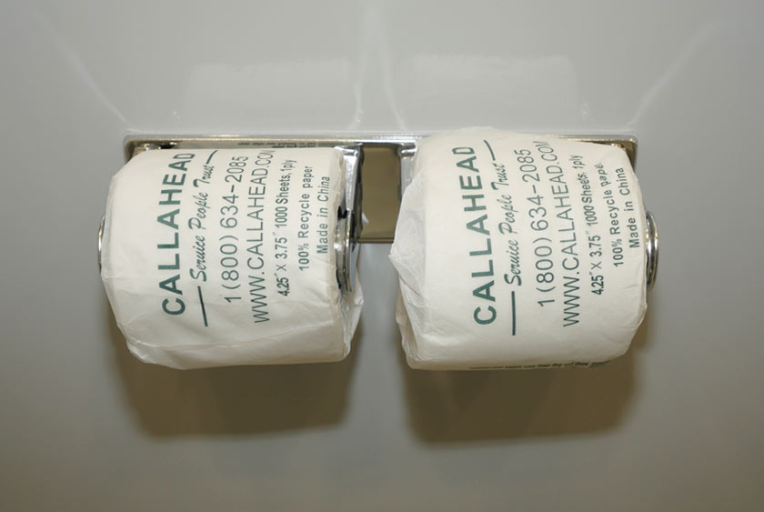 DUAL TOILET PAPER HOLDERS