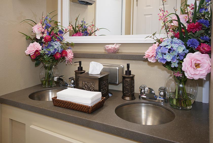 DOUBLE SINKS IN LARGE VANITY AREA