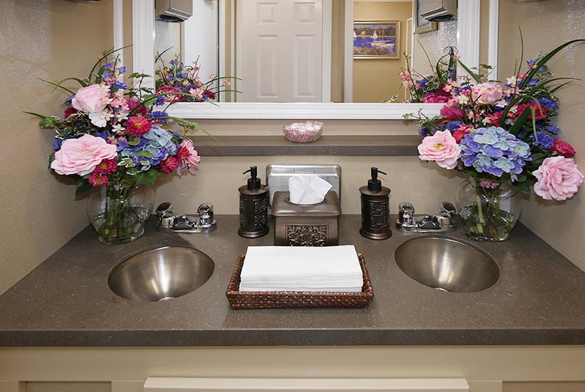 VANITY SINK AREA HAS CORIAN COUNTERTOPS