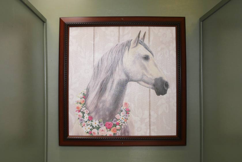 EQUINE THEMED FRAMED ARTWORK IN STALLS AND COMMON AREAS