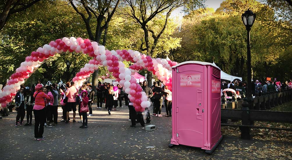 The Pink Ribbon Porta Potty in NY