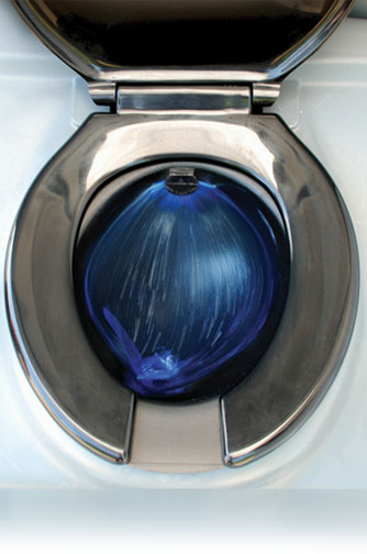 THE WASH & FLUSH - Sanitary Flushing Toilet!